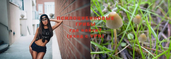 амф Карпинск