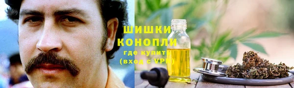 амф Карпинск