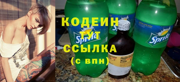 хмурый Касимов