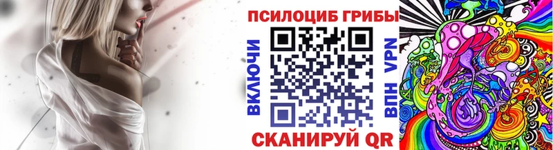Псилоцибиновые грибы MAGIC MUSHROOMS  Купить где  Терек 